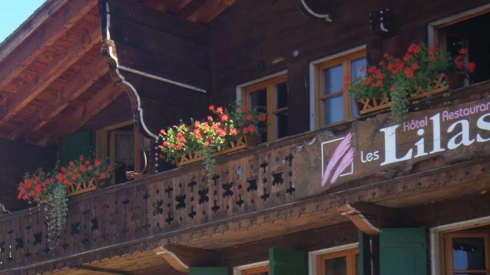 Hotel Restaurant Les Lilas Лес-Діаблеретс Екстер'єр фото